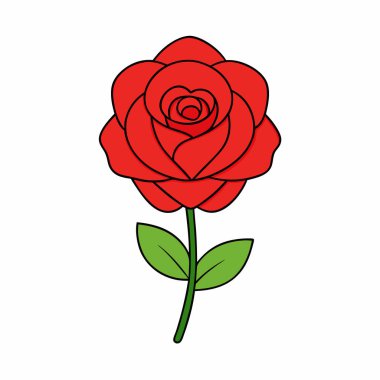 Gül Çiçeği Vektör Sanatı İzole Edildi