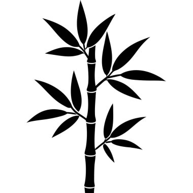 Siyah bambu bitkisi beyaz arkaplanda izole edilmiş.