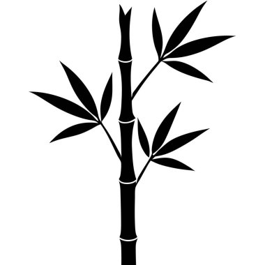 Siyah yapraklı bambu dalı