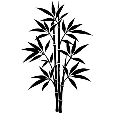 Siyah arkaplanı olan siyah bambu ağacı.