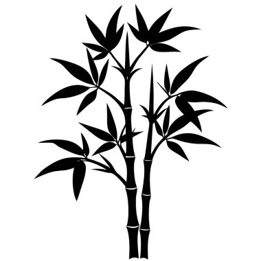 Siyah bambu bitkisi beyaz arkaplanda izole edilmiş.