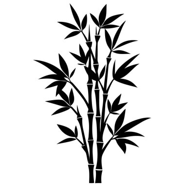 Bambu yapraklı bambu dalı