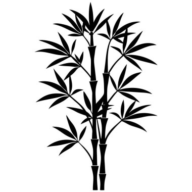 Bambuların vektör çizimi