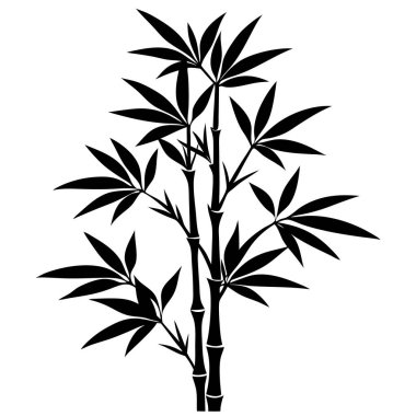Bambu ağacı vektör çizim