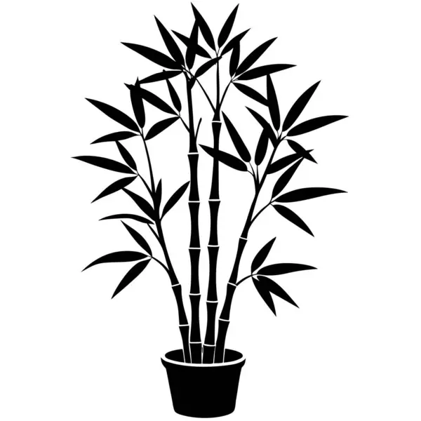 Bambu ağacının silueti..