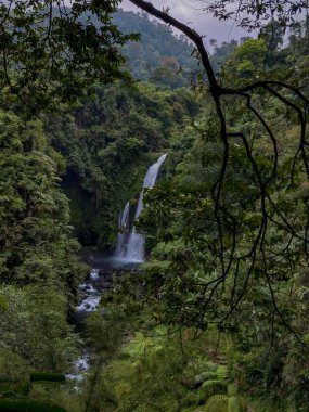 Şelale berrak ve çöpten arınmış, etrafı yeşil yapraklarla süslenmiş..