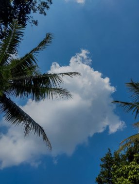Gündüzleri bulutlar büyüleyici mavi gökyüzü ile pamuk gibidir..