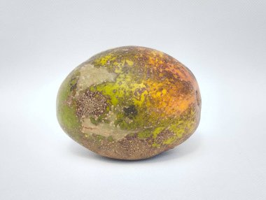 Endonezya 'da kedondong adı verilen yarı olgun ambarella meyvesi, bazı kısımları turuncu ve diğer kısımları yeşil, beyaz bir arka planda izole edilmiş.. 