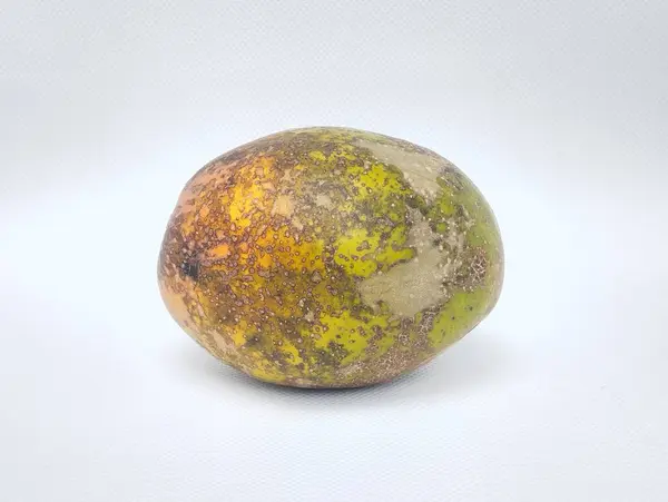 stock image Half-ripe ambarella fruit with some parts orange and other parts green, in Indonesia called kedondong, isolated on a white background. 