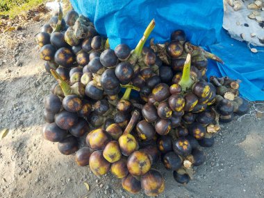 Yerel bir satıcı üzerinde Ice Apple meyvelerinin (Buah Siwalan veya Lontar) görünümünü kapat.