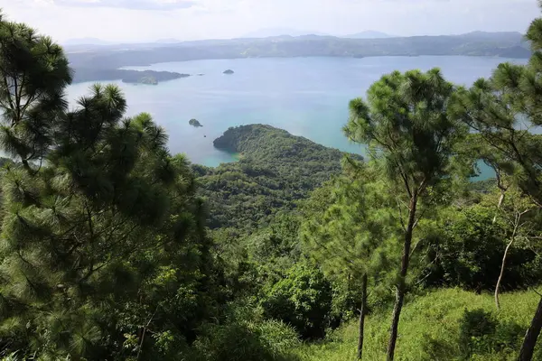 Serene Tropikal Gölü ve Berrak Yeşil Orman Manzarası