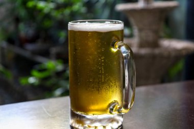 Birayla dolu bir kavanozun yakın plan görüntüsü, arka planda yemyeşil bir bahçesi olan ahşap bir masaya kurulmuş. Odak noktası kavanozun köpüklü içeriği ve detaylarının yakalanması olurken, bahçe düzenlemesi de doğal ve davetkar bir zemin sağlıyor. İllüstrasyon için ideal