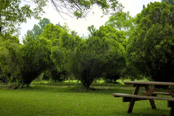 Bankı ve piknik masası olan bir park. Yedek kulübesi boş. Ağaçlar yeşil ve gökyüzü bulutlu