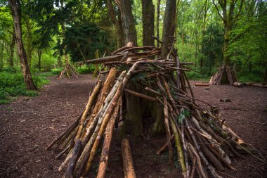 Ormanda çocuklar tarafından bir ağaç gövdesine dayanan ağaçlık alanlar. Çocuk aktiviteleri. Yüksek kalite fotoğraf.