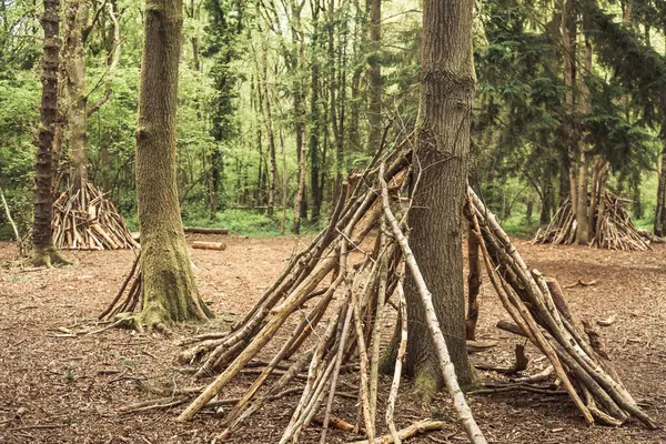 stock image Woodland den built by children in the forest leaning branches against a tree trunk. Children activities outdoors. High quality photo.