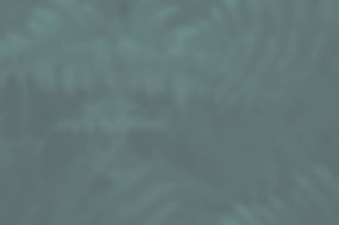 Eğreltiotlarının arka planı zarif gri yeşildir. Orman eğreltiotları buzlu camın arkasında bulanıklaştı. İniş sayfası, kart, fiş, el ilanı veya güzellik ve moda sunumu için taze doğal kopya alanı görüntüsü.