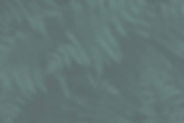 Eğreltiotu arka planı zarif gri yeşildir. Orman eğreltiotu buzlu camların arkasında çözünür. İniş sayfası, kart, fiş, el ilanı veya güzellik ve moda sunumu için taze doğal kopya alanı görüntüsü.