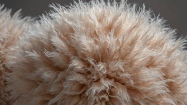 Kürk kabarık kürk dokusunun makro görünümü, yumuşak doku