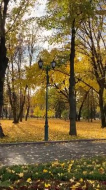 Sonbahar mevsiminde Sonbahar Parkı, Kharkiv Parkı