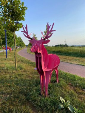 Parkta pembe geyik, Irpin.