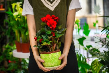 Elinde fotokopi alanı olan bir saksı saksısı tutan biri..
