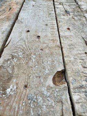 Detailed view of a weathered piece of wood with various holes of different sizes in it. clipart