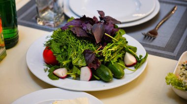 Bir tabak taze yeşil salata, domates, salatalık ve turp..