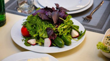Beyaz bir tabakta servis edilen bir tabak taze salata, salatalık ve yeşillik..