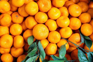 Taze portakalların yakın plan görüntüsü, yüksek bir pazarda, yeşil yapraklı..