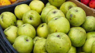 Yeşil elmalarla dolu bir sandığın yakın çekim görüntüsü pürüzsüz, hafif benekli derilerini ve yuvarlak şekillerini gösteriyor..