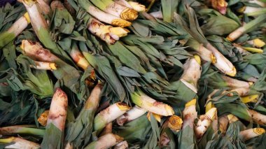 Bir markette satılık bir çeşit yabani soğan olan taze rampaların yakın plan çekimi..