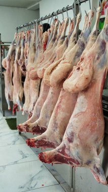 Sıralar dolusu taze et bir kasap dükkanında askıda asılı duruyor..