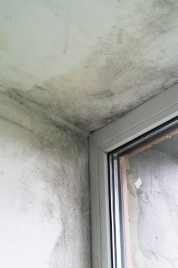 Odanın bir köşesinde pencere çevresinde önemli küf artışı görülüyor. Bu da havalandırmanın zayıf olduğunu ve uzayda muhtemel su hasarı olduğunu gösteriyor..