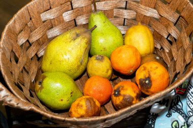 Armut ve turunçgiller de dahil olmak üzere çeşitli taze meyvelerle dolu dokunmuş bir sepet, doğanın hasadının bolluğunu gösteren canlı bir kumaşın üzerinde duruyor..