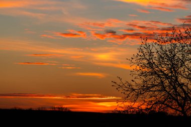 Güneş ufukta batarken gökyüzü turuncu ve pembe renklerle doludur. Siluetli ağaçlar dingin akşam atmosferine cazibe katar..