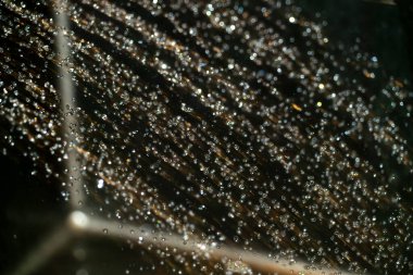 Küçük su damlacıkları bir örümcek ağına tutunarak ışığı yansıtıyor ve ışıl ışıl bir etki yaratıyor. Ağ doğal bir ortamda asılı, karmaşık detaylar sergiliyor..