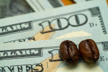 Two coffee beans rest on a stack of hundred dollar bills, highlighting the connection between luxury and everyday enjoyment in an artistic manner.