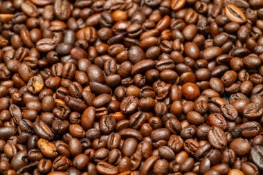 Taze kavrulmuş kahve çekirdekleri ahşap bir yüzeye saçılmış, zengin kahverengi renklerini ve dokularını sergiliyorlar. Doğal ışık görüntülerini güzelleştirir..