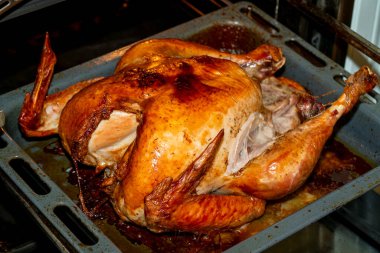 Koca bir hindi fırında kızarıyor, altın rengi kahverengi deri ve sulu bacaklar sergiliyor. Yemek leziz damlalarla çevrili, baştan çıkarıcı tatil aromaları..