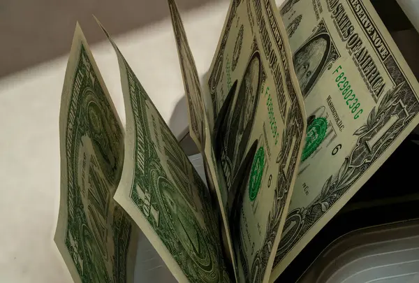 Dolar desteleri bir finans bürosundaki para sayma makinesi tarafından işleniyor. Ayarlar ekonomik etkinliğin tipik olarak hareketli bir ortamını yansıtıyor.