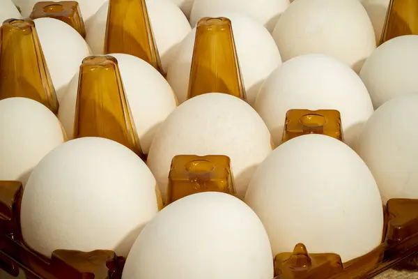 Plastik bir karton içinde, pürüzsüz kabuklarını sergileyen taze beyaz yumurta koleksiyonu. Bu kurulum market veya gıda pazarı ayarları için idealdir.