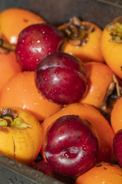 Canlı hurma ağaçları ve erikler bir sepet içinde su damlacıklarıyla toplanır. Bu renkli görüntü, yerel bir pazarda hasat mevsiminin özünü yakalıyor..