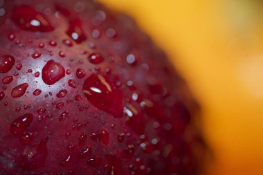 Yakından bakınca, parlak kırmızı bir elmanın su damlacıklarıyla süslendiğini, ışığı yansıttığını ve bulanık, sıcak bir arkaplanda tazeliğini gösterdiğini görürüz..