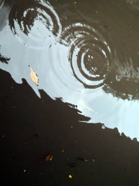 Sel üstüne yağmur damlaları. Yağmur yağar, suda daireler çizer. Evin çatısının koyu gölgeleri şeffaf su birikintisine yansıyor. Su sıçratan yapraklar yüzeyde dalgalanır.