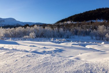 snow covered winter landscape with frosty trees  clipart