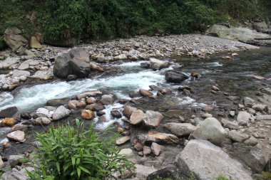 Sikkim 'deki nehirler, berrak mavi dağ sularıyla bölgeyi inanılmaz derecede heyecanlandırıyor. Bu tatlı su nehirleri, görkemli Himalayalar 'dan akan en güzel manzaralı nehirler arasındadır..