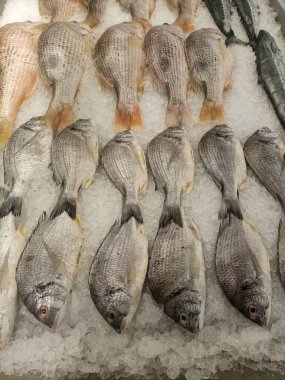 Canlı bir sıra çiğ balık markette ezilmiş buzdan bir yatakta düzgünce dizilmiş.