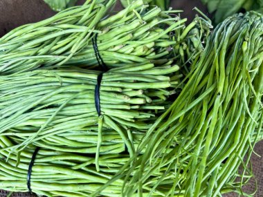 Turp kabuklarının (Moongray) bağlı haldeki fotoğrafları. Mevsimlik hasat, yerel tarım ve doğal gıda kavramları için mükemmel..