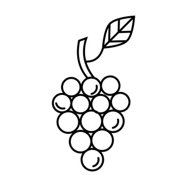 beyaz arkaplanda üzüm simgesi vektörü