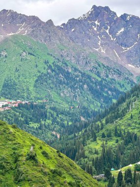 Mavi gökyüzü ve beyaz bulutlu yeşil çimen tarlası. Doğa manzarası arka planı